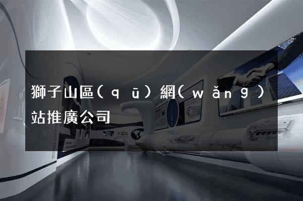 獅子山區(qū)網(wǎng)站推廣公司