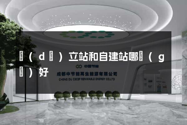 獨(dú)立站和自建站哪個(gè)好
