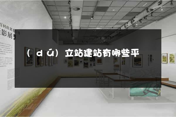 獨(dú)立站建站有哪些平臺