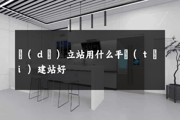 獨(dú)立站用什么平臺(tái)建站好