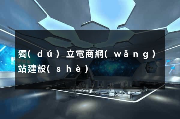 獨(dú)立電商網(wǎng)站建設(shè)