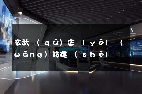 玄武區(qū)企業(yè)網(wǎng)站建設(shè)