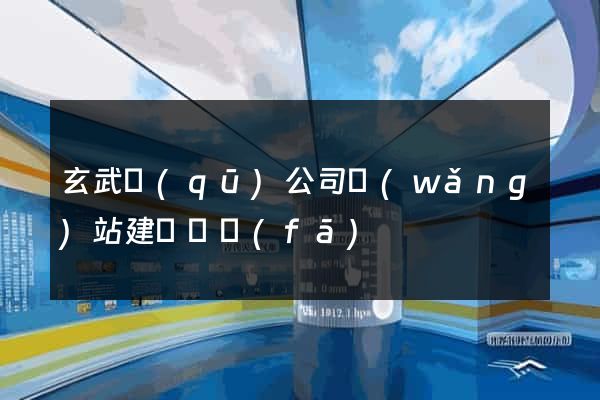 玄武區(qū)公司網(wǎng)站建設開發(fā)