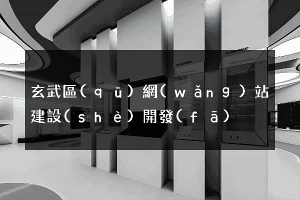 玄武區(qū)網(wǎng)站建設(shè)開發(fā)