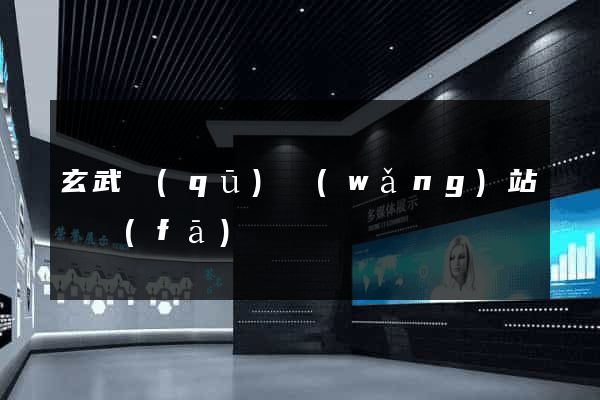 玄武區(qū)網(wǎng)站開發(fā)