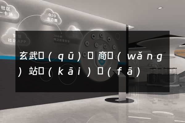 玄武區(qū)電商網(wǎng)站開(kāi)發(fā)