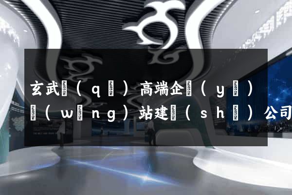 玄武區(qū)高端企業(yè)網(wǎng)站建設(shè)公司