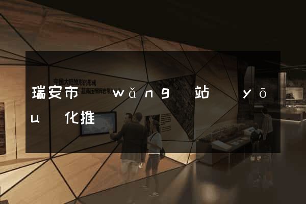 瑞安市網(wǎng)站優(yōu)化推廣