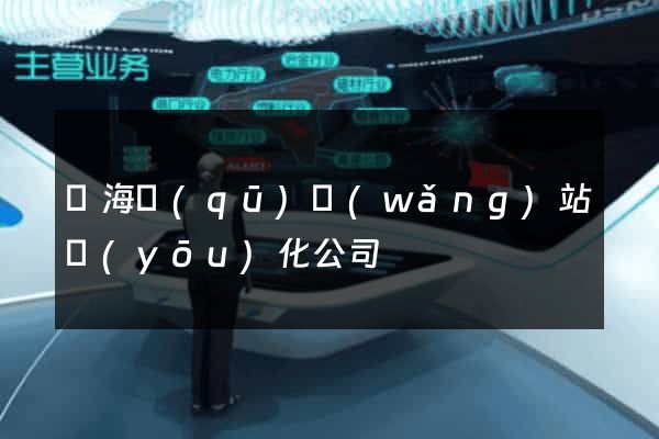 瑤海區(qū)網(wǎng)站優(yōu)化公司