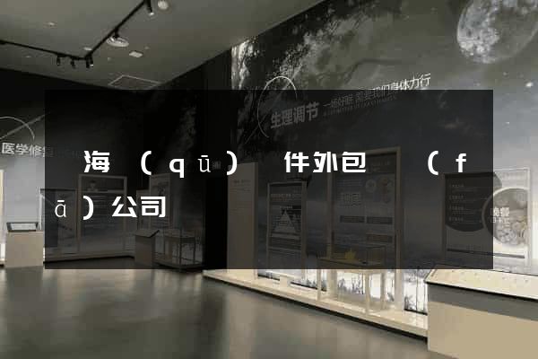 甌海區(qū)軟件外包開發(fā)公司