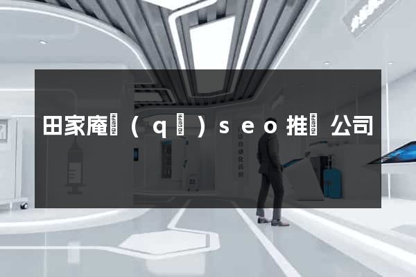田家庵區(qū)seo推廣公司