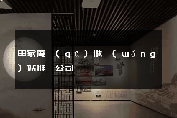 田家庵區(qū)做網(wǎng)站推廣公司