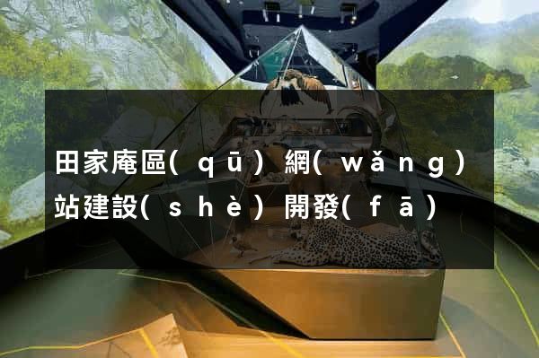 田家庵區(qū)網(wǎng)站建設(shè)開發(fā)