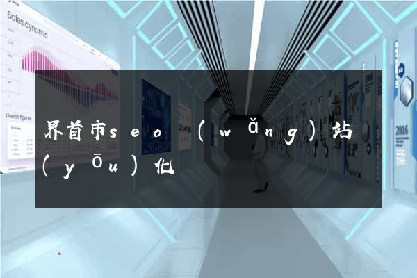 界首市seo網(wǎng)站優(yōu)化