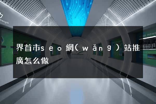 界首市seo網(wǎng)站推廣怎么做