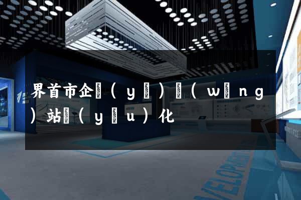 界首市企業(yè)網(wǎng)站優(yōu)化