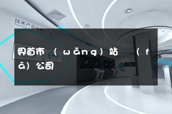 界首市網(wǎng)站開發(fā)公司