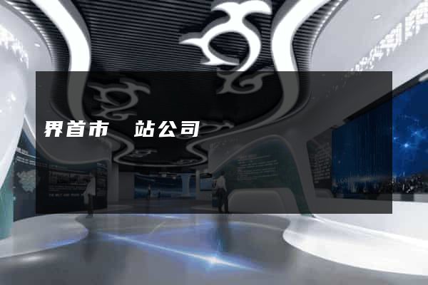 界首市網站公司