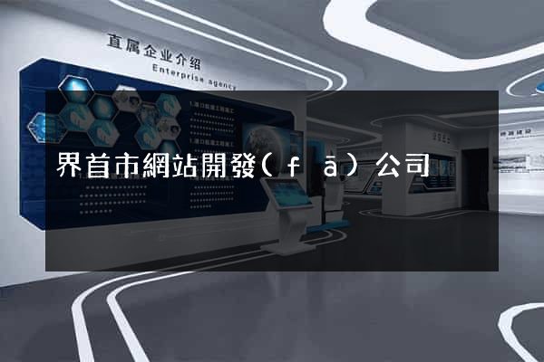 界首市網站開發(fā)公司