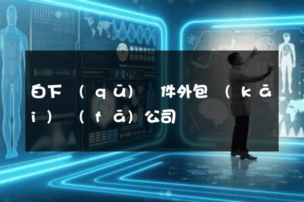 白下區(qū)軟件外包開(kāi)發(fā)公司