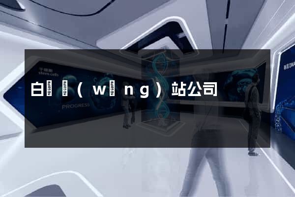 白銀網(wǎng)站公司