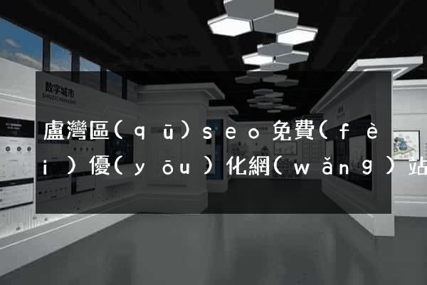 盧灣區(qū)seo免費(fèi)優(yōu)化網(wǎng)站