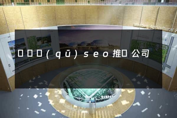 盧灣區(qū)seo推廣公司