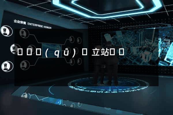 盧灣區(qū)獨立站運營