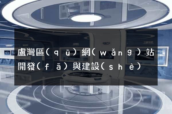 盧灣區(qū)網(wǎng)站開發(fā)與建設(shè)