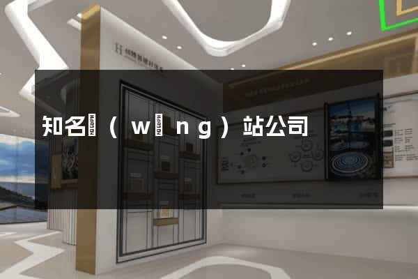 知名網(wǎng)站公司
