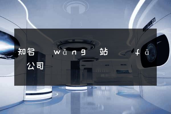 知名網(wǎng)站開發(fā)公司