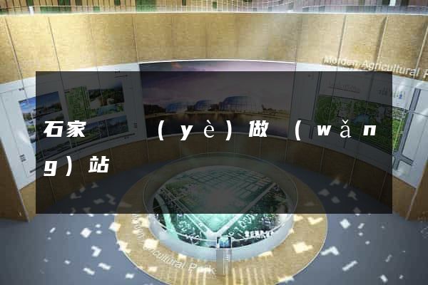 石家莊專業(yè)做網(wǎng)站