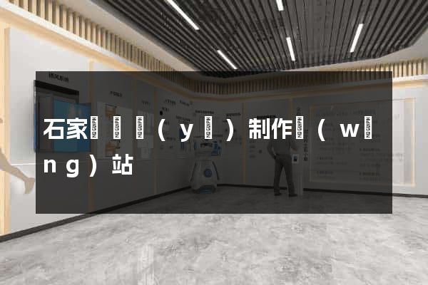 石家莊專業(yè)制作網(wǎng)站