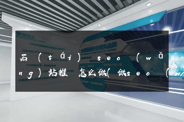 石臺(tái)縣seo網(wǎng)站推廣怎么做(做seo網(wǎng)站營(yíng)銷(xiāo)推廣)