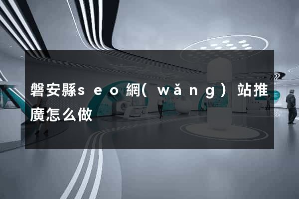 磐安縣seo網(wǎng)站推廣怎么做