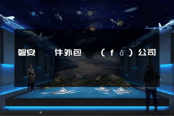 磐安縣軟件外包開發(fā)公司