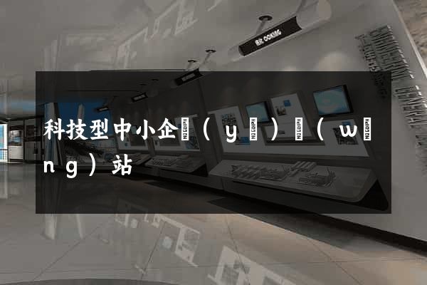 科技型中小企業(yè)網(wǎng)站