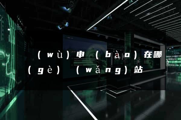 稅務(wù)申報(bào)在哪個(gè)網(wǎng)站
