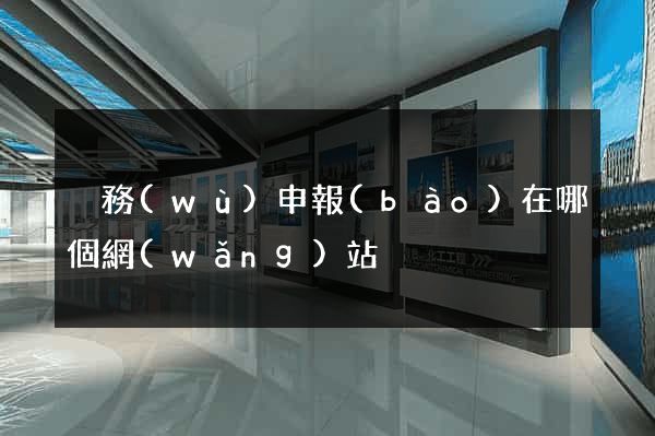 稅務(wù)申報(bào)在哪個網(wǎng)站