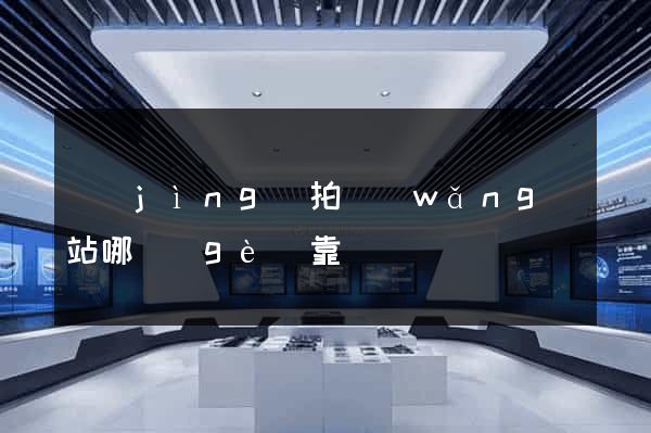 競(jìng)拍網(wǎng)站哪個(gè)靠譜
