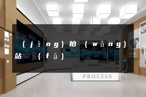 競(jìng)拍網(wǎng)站開發(fā)