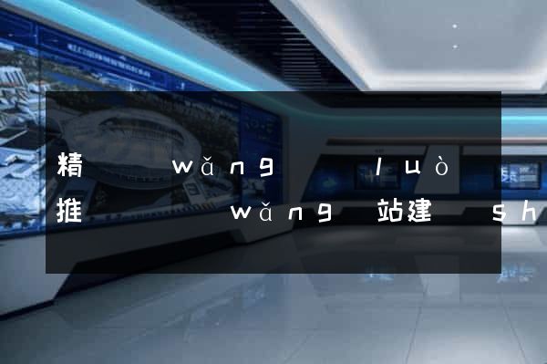 精準網(wǎng)絡(luò)推廣營銷網(wǎng)站建設(shè)優(yōu)化
