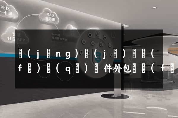 經(jīng)濟(jì)開發(fā)區(qū)軟件外包開發(fā)公司