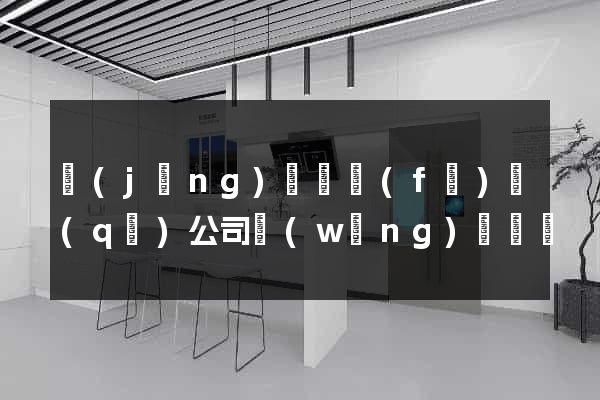 經(jīng)濟開發(fā)區(qū)公司網(wǎng)頁設計