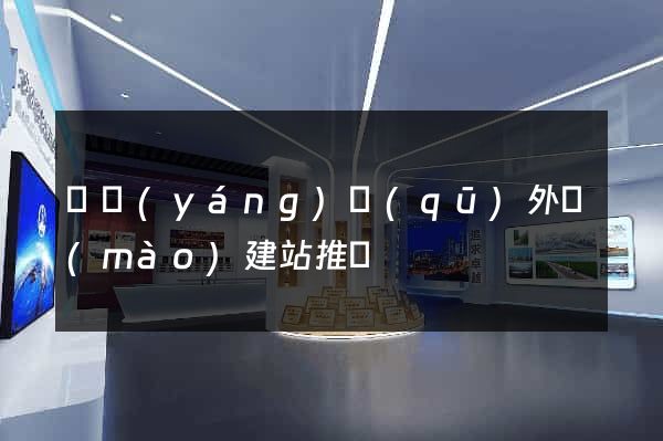 維揚(yáng)區(qū)外貿(mào)建站推廣