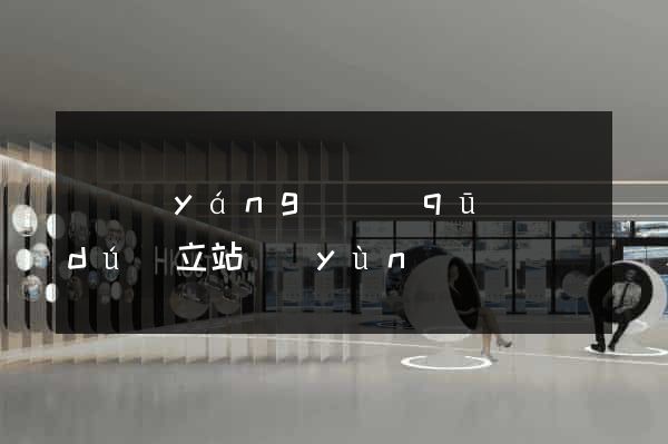 維揚(yáng)區(qū)獨(dú)立站運(yùn)營