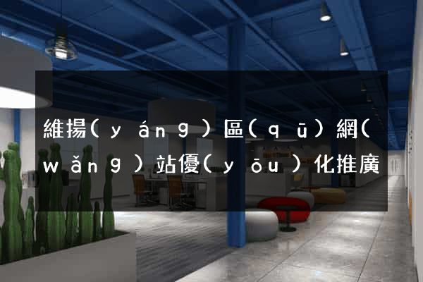 維揚(yáng)區(qū)網(wǎng)站優(yōu)化推廣