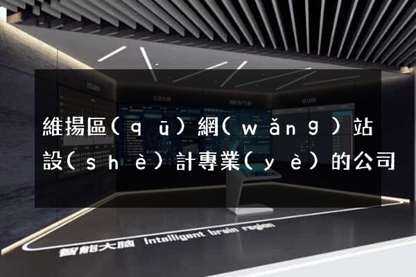 維揚區(qū)網(wǎng)站設(shè)計專業(yè)的公司
