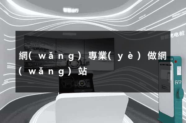 網(wǎng)專業(yè)做網(wǎng)站