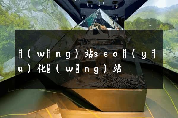 網(wǎng)站seo優(yōu)化網(wǎng)站